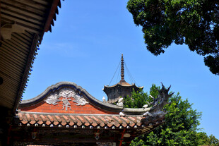 泉州开元寺 