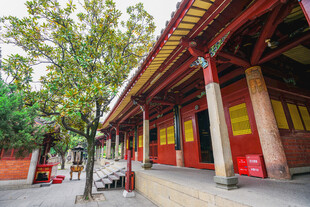 泉州地标开元寺