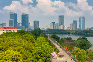 城市湖畔绿意盎然风景图