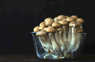 玻璃碗中的新鲜蘑菇