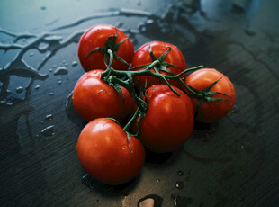 新鲜番茄带枝摆放于桌面