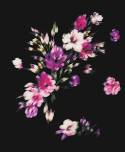 多彩花卉图案