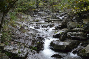 山间溪流潺潺流淌
