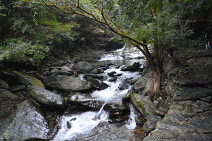 山间溪流潺潺自然美景
