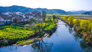乡村河畔美景