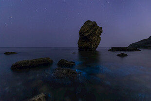 夜幕下的海边孤石