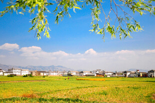 田园风光下的村庄美景