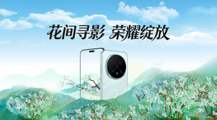花间寻影荣耀绽放
