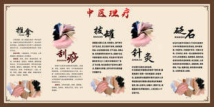 中医理疗项目介绍海报