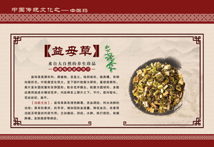 益母草