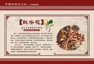 款冬花