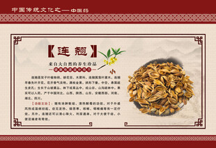 连翘