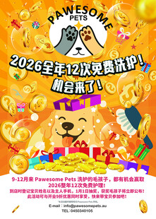 2026全球狂欢购物节海报