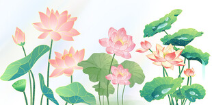 水彩荷花