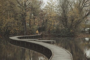 湖畔蜿蜒木栈道美景