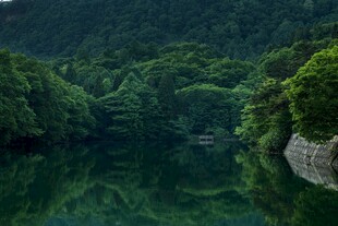 静谧山林间的清幽湖水