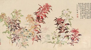 植物插画
