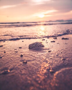 夕阳下的海滩与晶莹冰块