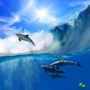海豚跃浪于碧海蓝天间