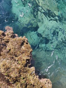 海底珊瑚与清澈海水景观