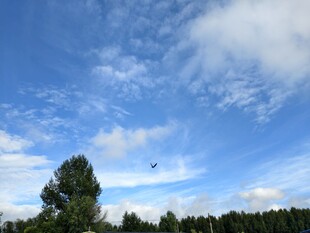 天空