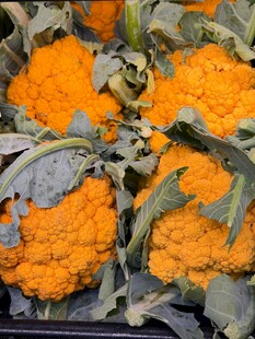 花菜  