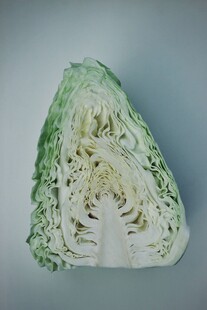 包菜 