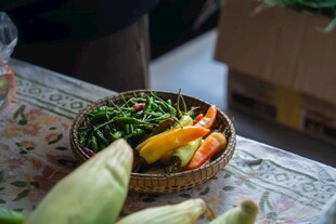 辣椒 