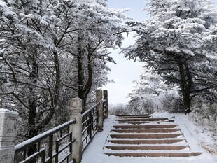 峨眉山雪景