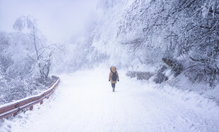 峨眉山雪野独行者