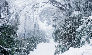 峨眉山雪景