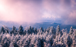 长白山雪景