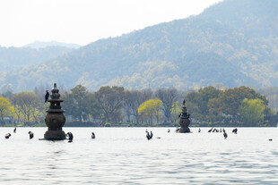 西湖三潭印月湖景风光