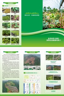 绿色农业项目展示三折页