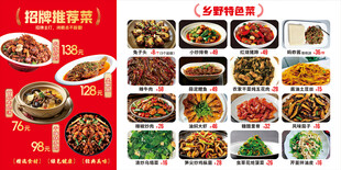 多样中式菜肴展示