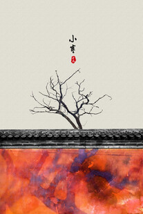 中国风红墙树枝简约背景