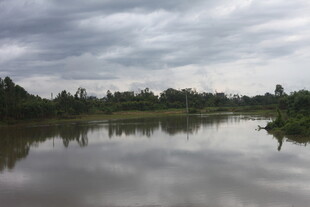宁静湖畔的自然风景