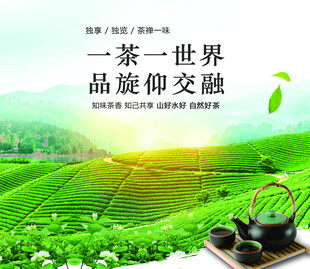 茶叶