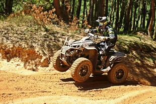 四轮越野摩托驰骋山林间