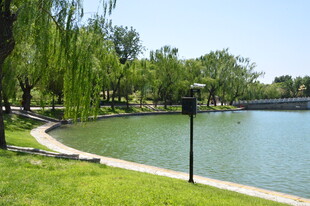 公园风景