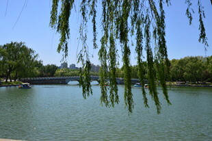 公园风景  
