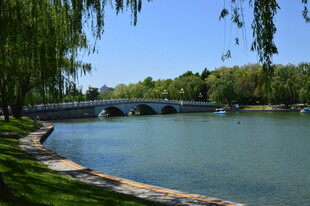 公园风景  