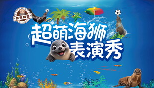 超萌海狮表演秀