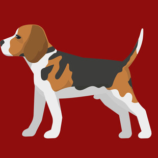 可爱比格犬插画