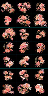 菊花