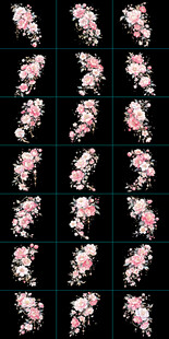 牡丹花