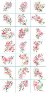 海棠花