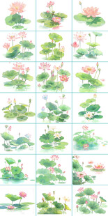 手绘荷花