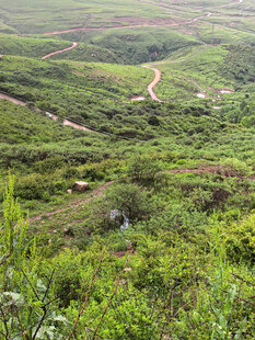 山间绿野蜿蜒小径美景