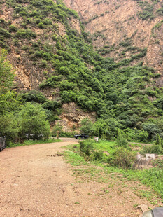 山间土路旁的葱郁植被